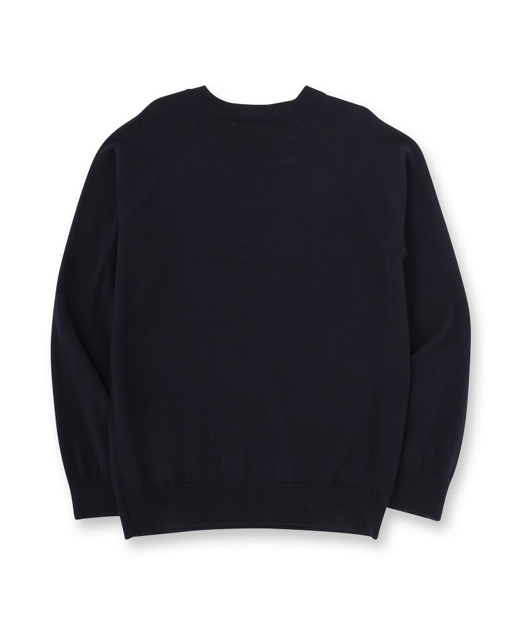 ドレステリア(メンズ)(DRESSTERIOR(Men))のラビットインターシャニット17