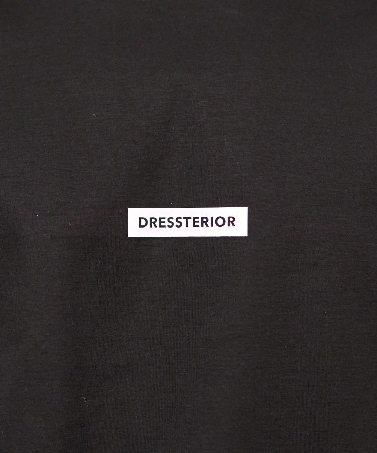 ドレステリア(メンズ)(DRESSTERIOR(Men))の【接触冷感／抗菌防臭／消臭】ICE CLEAR COTTON NINEストリートTシャツ22