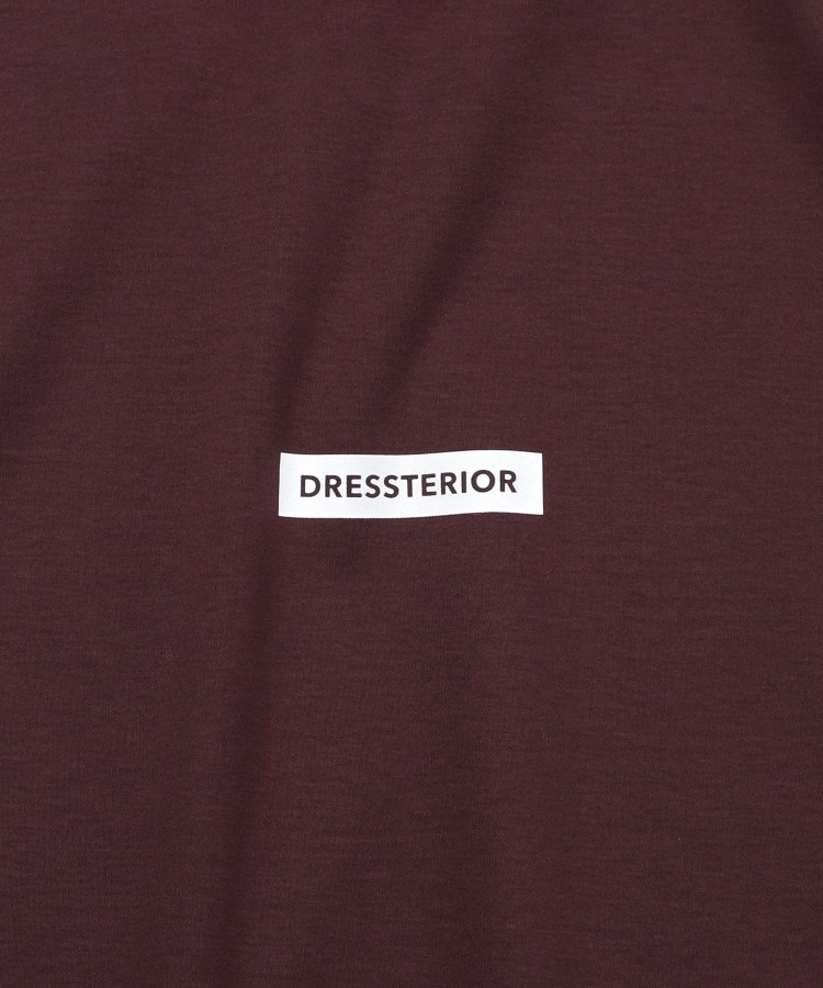 ドレステリア(メンズ)(DRESSTERIOR(Men))の【接触冷感／抗菌防臭／消臭】ICE CLEAR COTTON NINEストリートTシャツ39