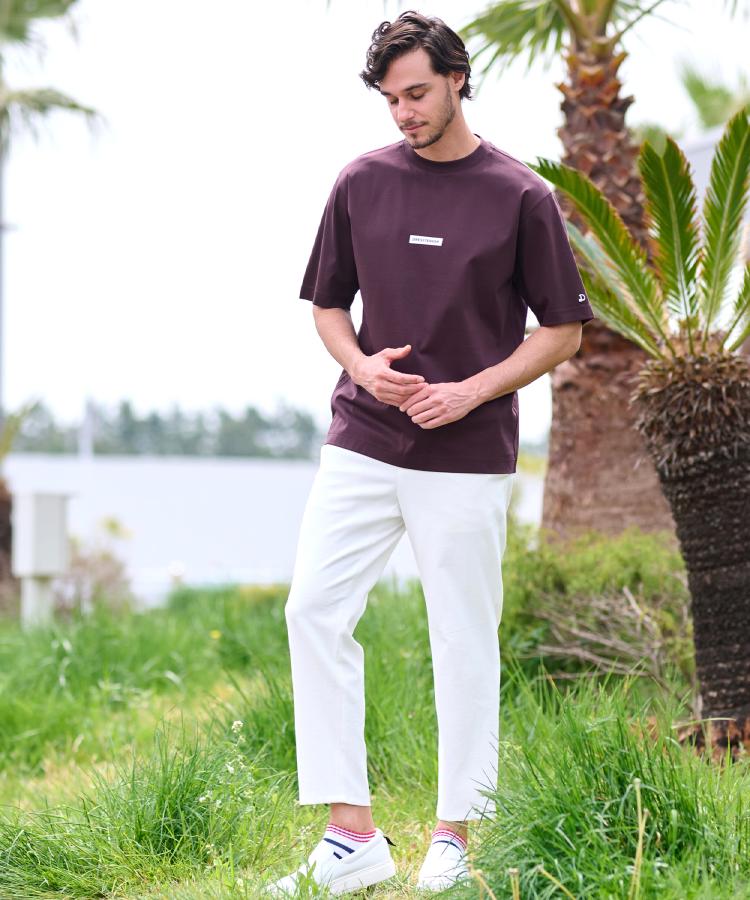 ドレステリア(メンズ)(DRESSTERIOR(Men))の【接触冷感／抗菌防臭／消臭】ICE CLEAR COTTON NINEストリートTシャツ10