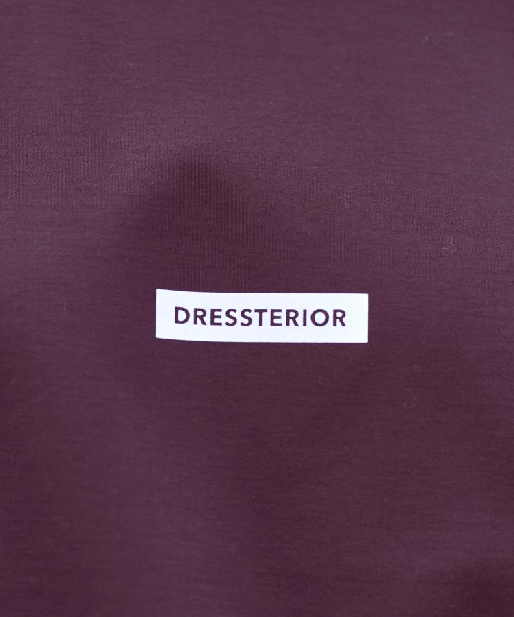 ドレステリア(メンズ)(DRESSTERIOR(Men))の【接触冷感／抗菌防臭／消臭】ICE CLEAR COTTON NINEストリートTシャツ16