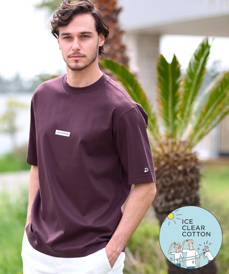 ドレステリア(メンズ)(DRESSTERIOR(Men))の【接触冷感／抗菌防臭／消臭】ICE CLEAR COTTON NINEストリートTシャツ ブラウン(044)