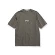 ドレステリア(メンズ)(DRESSTERIOR(Men))の【接触冷感／抗菌防臭／消臭】ICE CLEAR COTTON NINEストリートTシャツ34