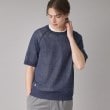 ドレステリア(メンズ)(DRESSTERIOR(Men))のペーパーコットン ハーフスリーブニット22