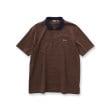 ドレステリア(メンズ)(DRESSTERIOR(Men))のドレステリア タイガーボーダーポロシャツ2