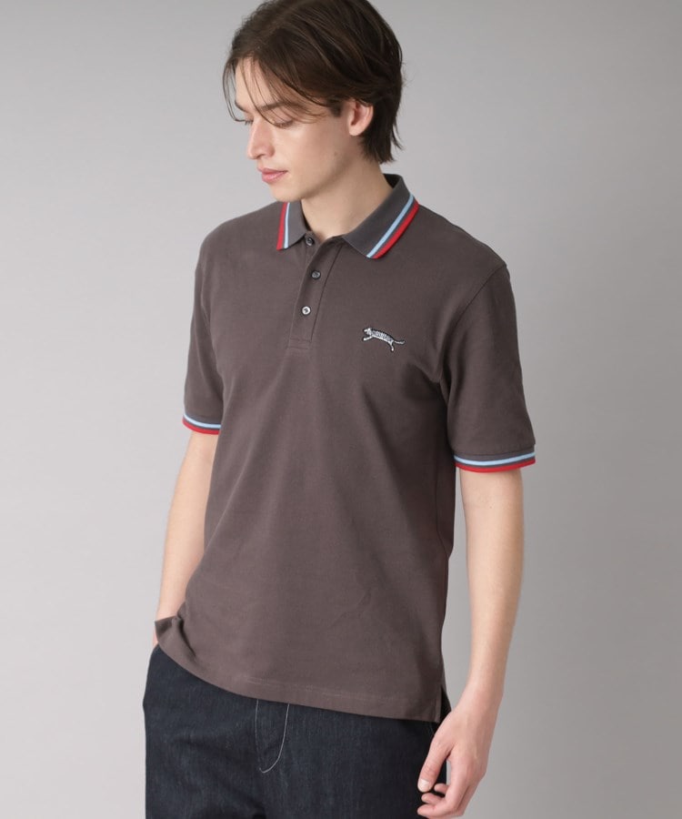 ドレステリア(メンズ)(DRESSTERIOR(Men))のドレステリア タイガーポロシャツ28