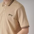 ドレステリア(メンズ)(DRESSTERIOR(Men))のドレステリア タイガーポロシャツ45