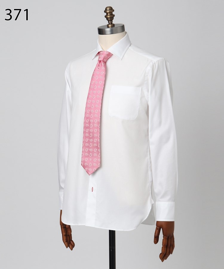 ペイズリータイ（ネクタイ） | DRESSTERIOR(Men)（ドレステリア