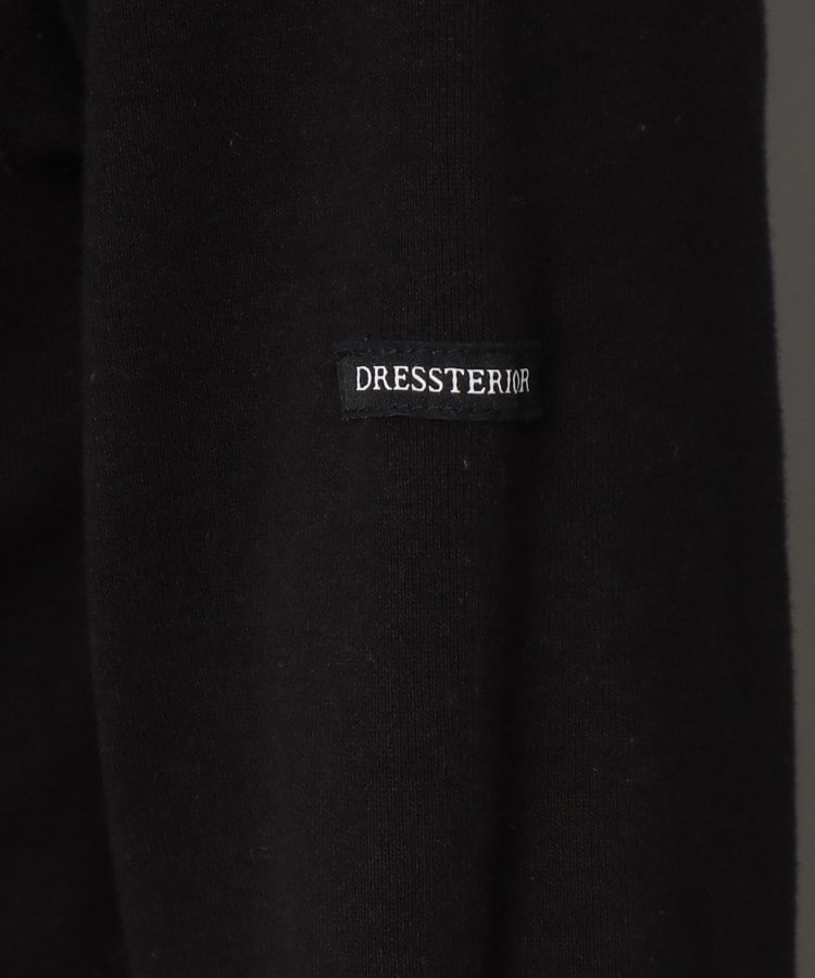 ドレステリア(メンズ)(DRESSTERIOR(Men))の【Safari12月号掲載】エクスクルーシブフライスロングTシャツ35