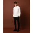 ドレステリア(メンズ)(DRESSTERIOR(Men))の【セットアップ可】【干場義雅×DRESSTERIOR】スラックス パンツ18
