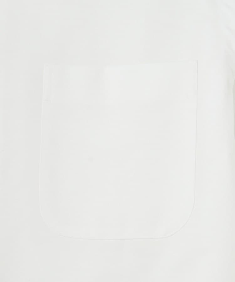 ドレステリア(メンズ)(DRESSTERIOR(Men))の46Gジャージ レギュラーカラードレスシャツ17