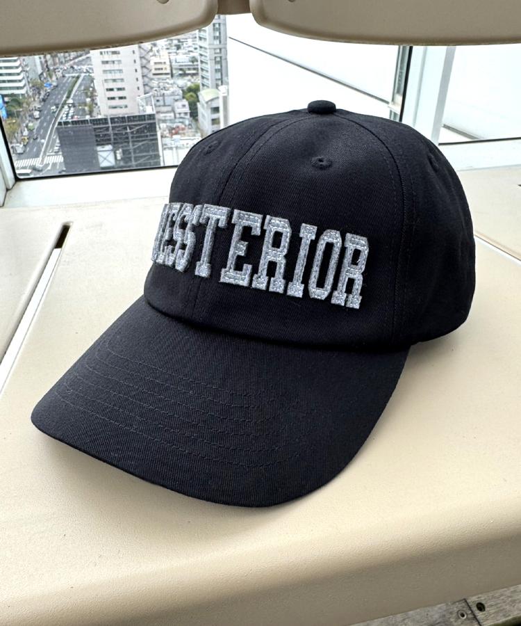 ドレステリア(メンズ)(DRESSTERIOR(Men))のDRESSTERIORロゴキャップ4