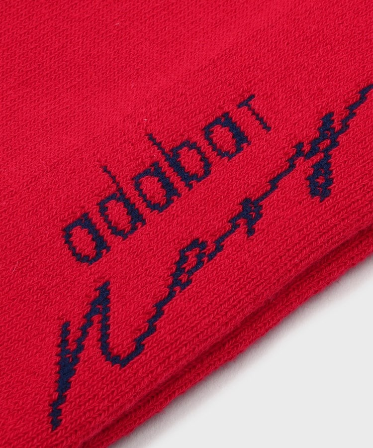 アダバット(メンズ)(adabat(Men))の【新レーベル ADABAT NAVY】バイカラーレギュラーソックス6