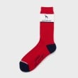 アダバット(メンズ)(adabat(Men))の【新レーベル ADABAT NAVY】バイカラーレギュラーソックス1