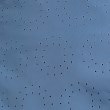 リフレクト(Reflect)の【SALE/洗える】サークルパンチングフレアスカート12