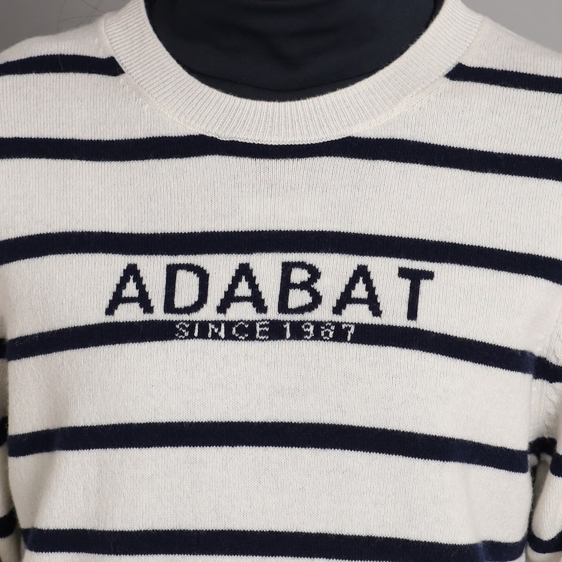 アダバット(レディース)(adabat(Ladies))のロゴデザイン クルーネックセーター31