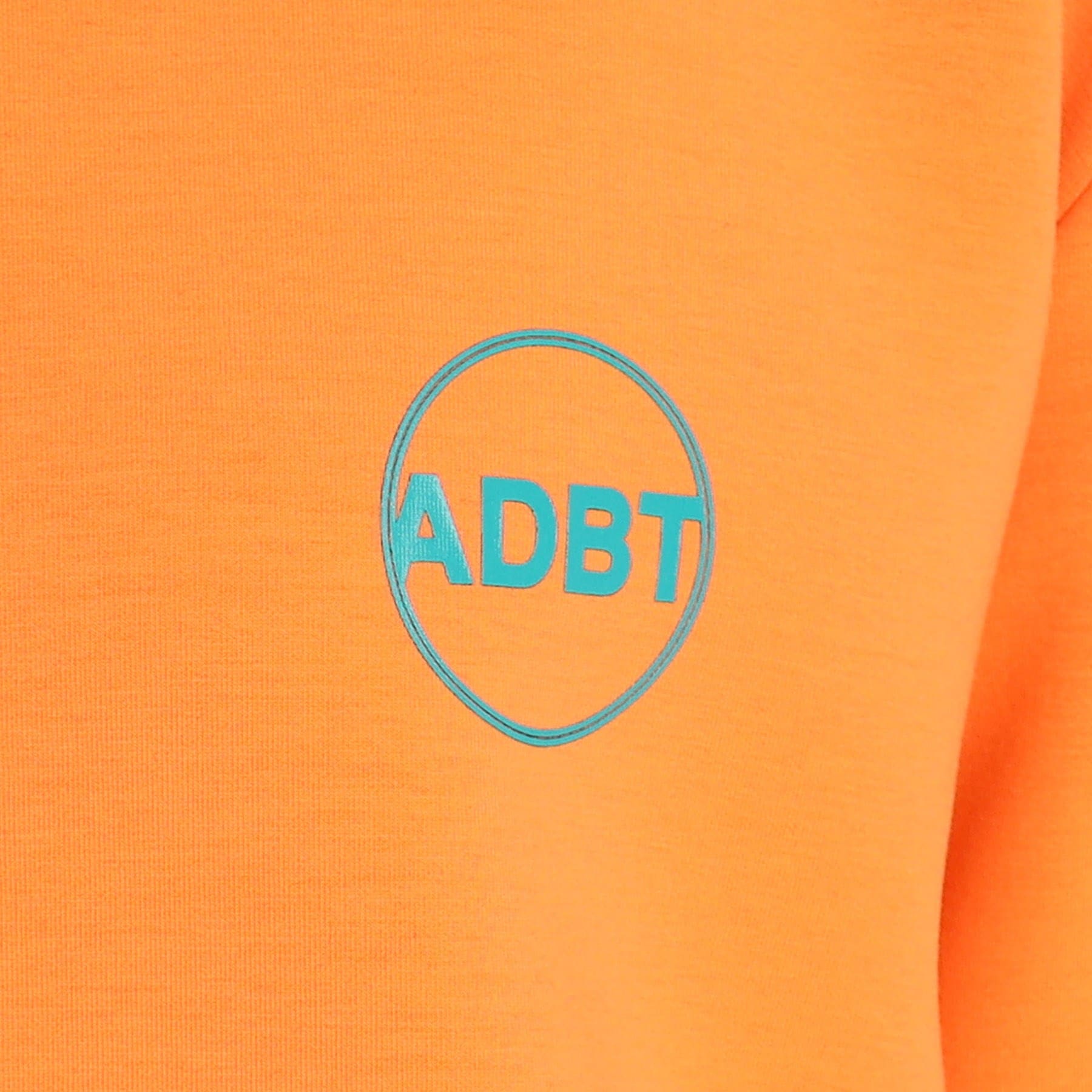 アダバット(レディース)(adabat(Ladies))の【ADBT】袖ロゴデザイン 長袖クルーネックトレーナー12