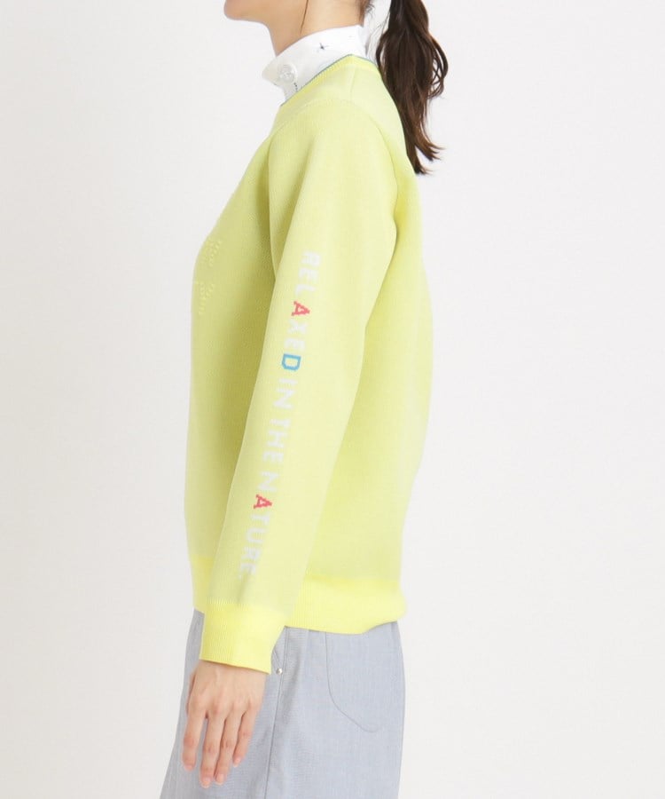 アダバット(レディース)(adabat(Ladies))のウォッシャブル ロゴジャカードニット14