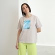 インディヴィ(INDIVI)の【コットン100%/定番/フォトT】カラーアート オリジナルTシャツ ライトベージュ(651)