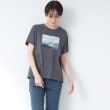 インディヴィ(INDIVI)の【洗える/コットン100％】セミAフォトTシャツ チャコールグレー(014)