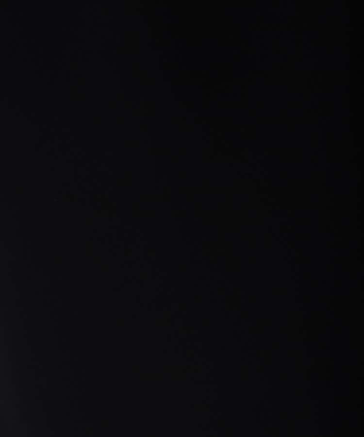 インディヴィ ヴァイ(INDIVI V.A.I)の【SETUP可能/ウエストゴム/日本製】トリアセテート混ジョッパーズ風パンツ13