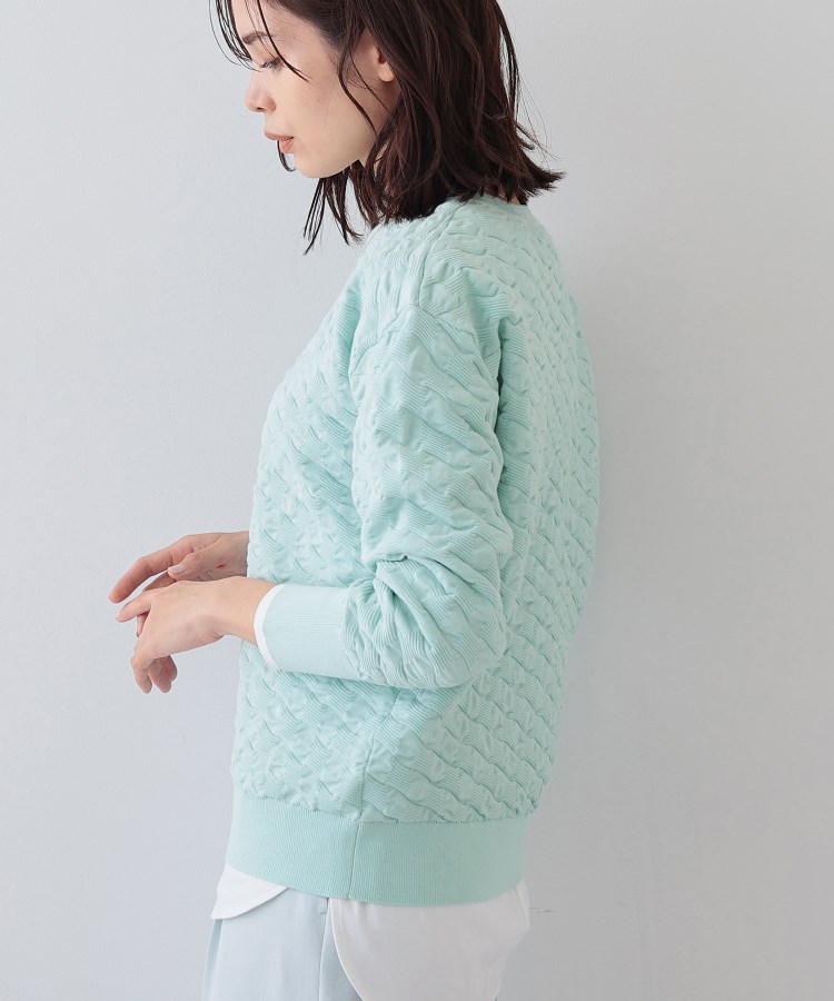 インディヴィ(INDIVI)の春SALE！【洗える／コットン混】ふくれジャカードニット10