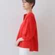 インディヴィ(INDIVI)の【刺繍／レース】スラッシュネックブラウス10