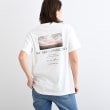 インディヴィ(INDIVI)の【WORLD for the World】バックプリント フォトTシャツ11