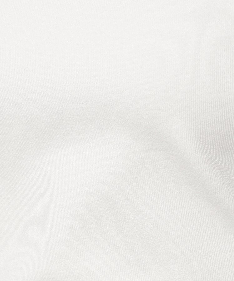 クードシャンス(COUP DE CHANCE)の【洗える／シアーデザイン袖】さりげない光沢感とデザイン袖が華やかなニットプルオーバー10