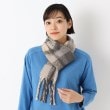 レイドローク(Reidroc)のニュートラルチェック差し込みマフラー5