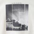 ザ ショップ ティーケー（キッズ）(THE SHOP TK(Kids))の【110－160/親子リンク】オーガビッツコットンプリントTシャツ/洗濯機OK26
