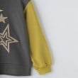 ザ ショップ ティーケー（キッズ）(THE SHOP TK(Kids))の【100-160】星さがら刺繍裏毛プルオーバー/洗濯機OK20