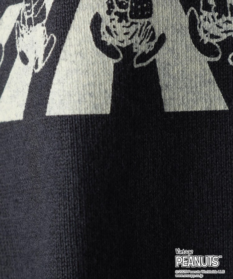 ザ ショップ ティーケー（キッズ）(THE SHOP TK(Kids))のPEANUTS 半袖Tシャツ 75周年／【110-150】ママ・パパとおそろい17