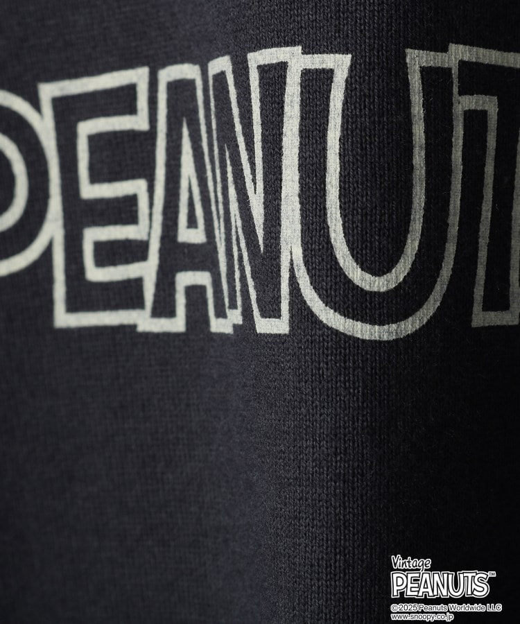 ザ ショップ ティーケー（キッズ）(THE SHOP TK(Kids))のPEANUTS 半袖Tシャツ 75周年／【110-150】ママ・パパとおそろい8