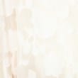 シューラルー(SHOO・LA・RUE/Cutie Blonde)の花柄シアーZIPパーカ4