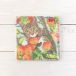 ワンズテラス(one'sterrace)の◆ペーパータオル アップル1