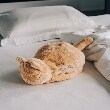 ワンズテラス(one'sterrace)の【あったか】LOP 蓄熱式ねこ湯たんぽ9