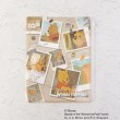 ワンズテラス(one'sterrace)の◆ディズニー 『くまのプーさん』 ファスナー付クリアファイル 6P FUN ソノタ(879)
