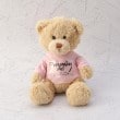 ワンズテラス(one'sterrace)のGUND ぬいぐるみ Tシャツベア ピンク(972)