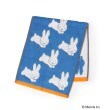 ワンズテラス(one'sterrace)の◆Dick Bruna miffy フェイスタオル ブルー(993)