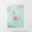 ワンズテラス(one'sterrace)の◆ピーターラビット(TM) クリアファイル A41
