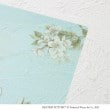 ワンズテラス(one'sterrace)の◆ピーターラビット(TM) クリアファイル A43