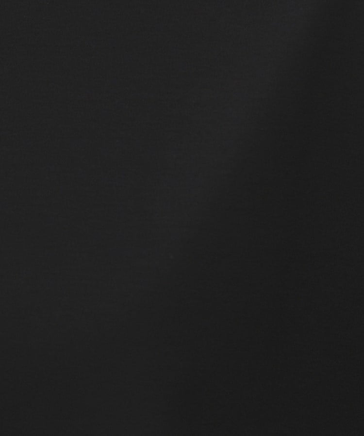 アンタイトル(UNTITLED)のラッフルスリーブプルオーバー21