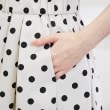 クチュールブローチ(Couture Brooch)の【WEB限定】ライトタフタドットスカート22