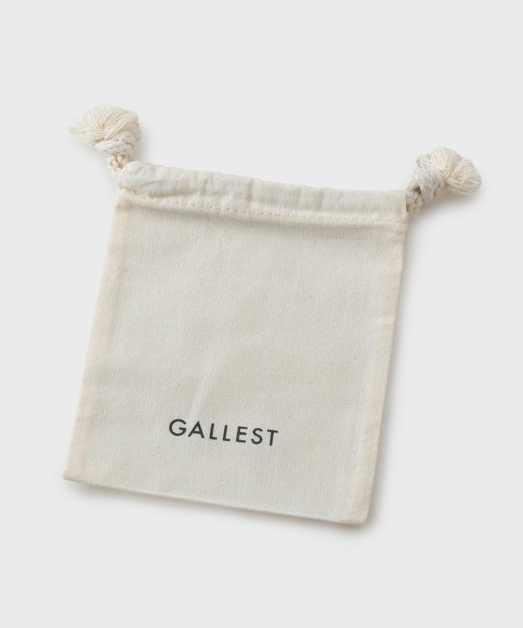 ギャレスト(GALLEST)のポイントミドルネックレス5
