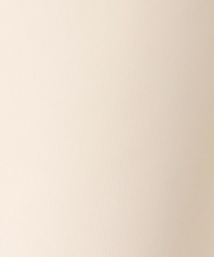 ルイシャンタン(Lui Chantant)の【透けにくい／のびのび／日本製】シェルタリング夏レギンス17