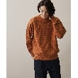 ザ ショップ ティーケー（メンズ）(THE SHOP TK(Men))のクレイジーパネルニット/ハグするニットシリーズ レンガ(069)