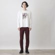 ザ ショップ ティーケー（メンズ）(THE SHOP TK(Men))の【ヒルナンデス！で紹介】プレミアムスキニーパンツ 360°ストレッチ54