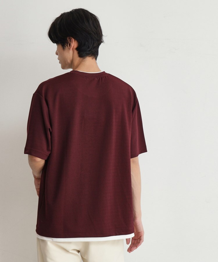 ザ ショップ ティーケー（メンズ）(THE SHOP TK(Men))のアムンゼンフェイクプルオーバー14