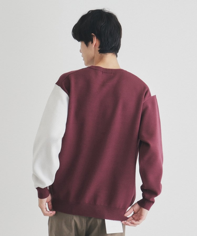 ザ ショップ ティーケー（メンズ）(THE SHOP TK(Men))のパネルアートブロッキングクルーネックニット10
